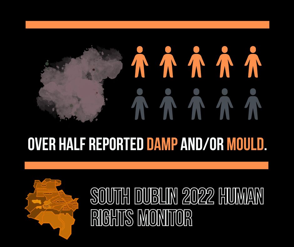 Over half of residents surveyed reported damp and/or mould in their homes